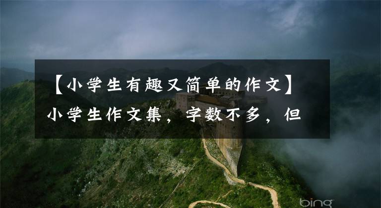 【小学生有趣又简单的作文】小学生作文集，字数不多，但一看就不忘。老师说：“好气，好好笑。”