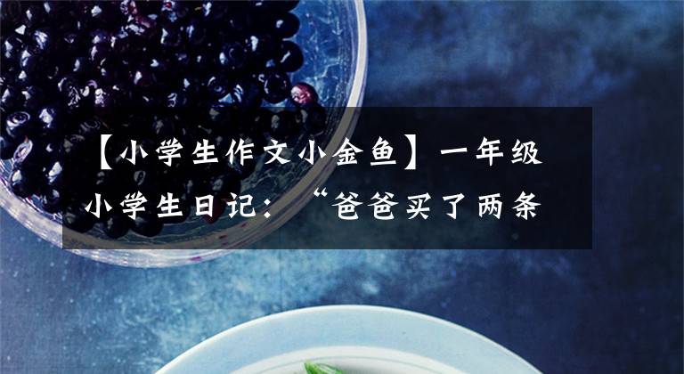 【小学生作文小金鱼】一年级小学生日记：“爸爸买了两条金鱼，放在水缸里淹死了，我很伤心。”