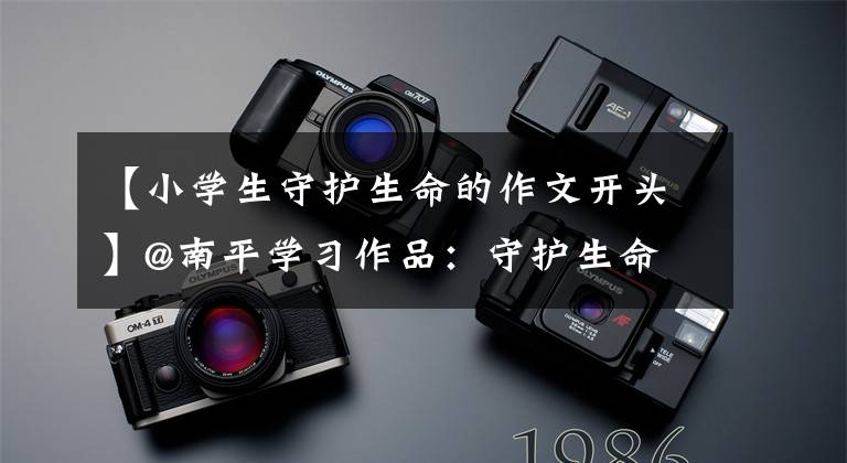 【小学生守护生命的作文开头】@南平学习作品：守护生命