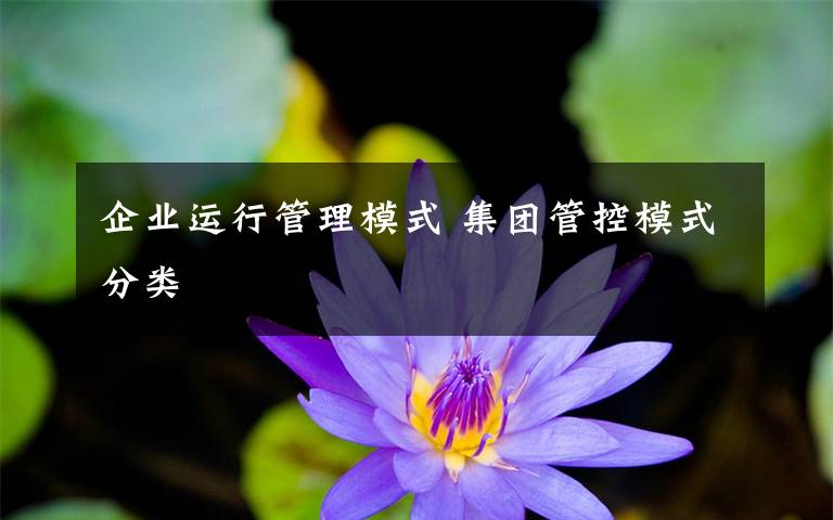 企业运行管理模式 集团管控模式分类