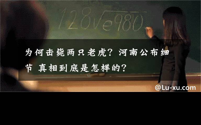 为何击毙两只老虎？河南公布细节 真相到底是怎样的？