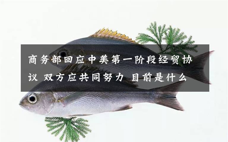 商务部回应中美第一阶段经贸协议 双方应共同努力 目前是什么情况？