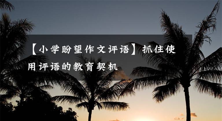 【小学盼望作文评语】抓住使用评语的教育契机
