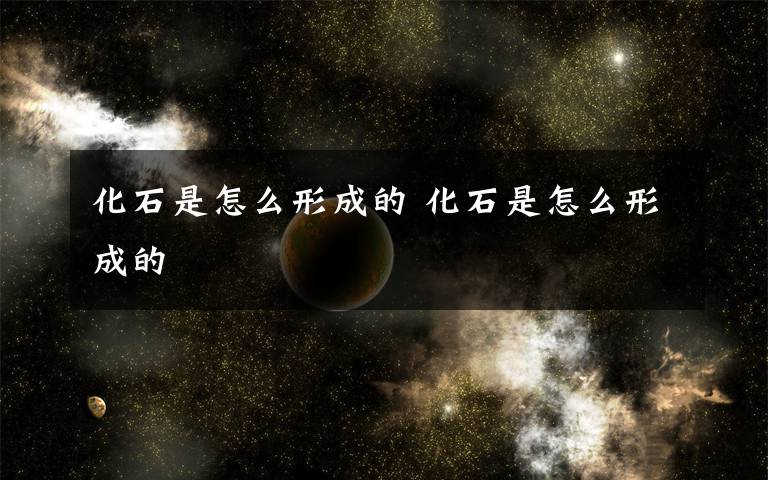 化石是怎么形成的 化石是怎么形成的