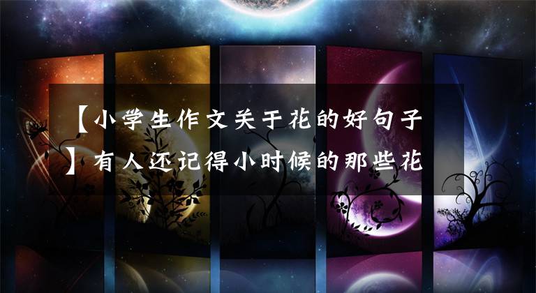 【小学生作文关于花的好句子】有人还记得小时候的那些花吗？