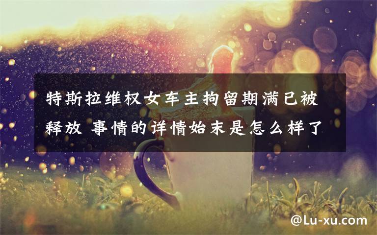 特斯拉维权女车主拘留期满已被释放 事情的详情始末是怎么样了！