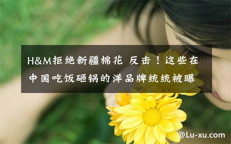 H&M拒绝新疆棉花 反击！这些在中国吃饭砸锅的洋品牌统统被曝光