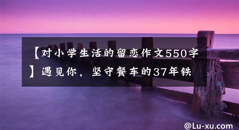 【对小学生活的留恋作文550字】遇见你，坚守餐车的37年铁路“厨房神”的最后春云。