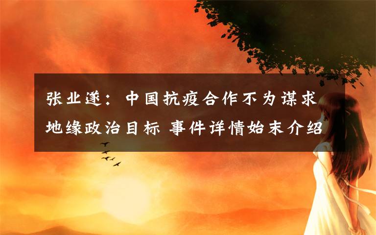 张业遂：中国抗疫合作不为谋求地缘政治目标 事件详情始末介绍！