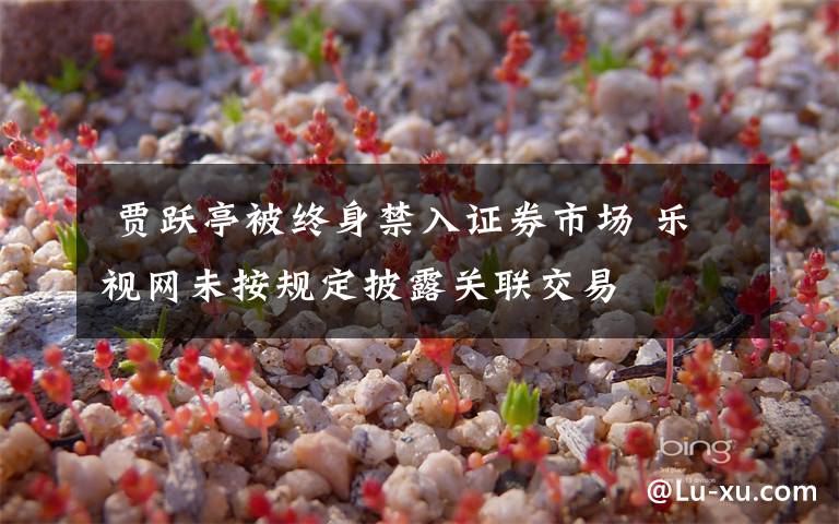  贾跃亭被终身禁入证券市场 乐视网未按规定披露关联交易