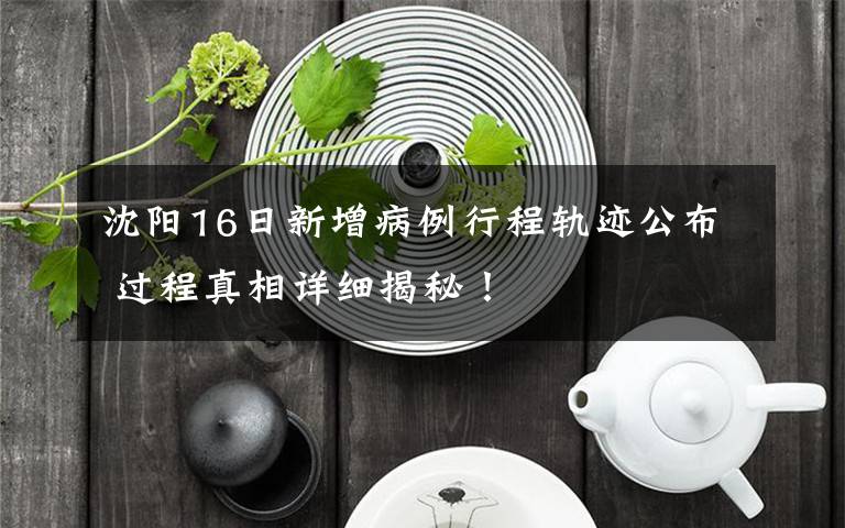 沈阳16日新增病例行程轨迹公布 过程真相详细揭秘！