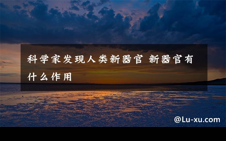 科学家发现人类新器官 新器官有什么作用