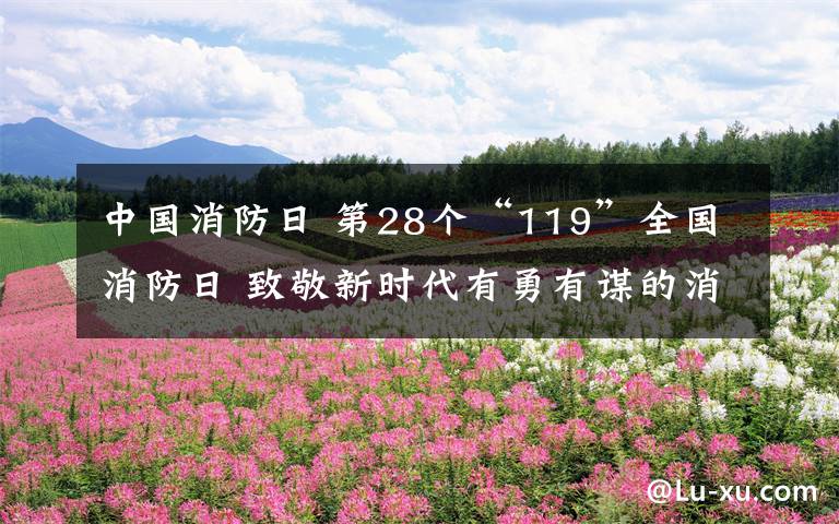 中国消防日 第28个“119”全国消防日 致敬新时代有勇有谋的消防员！