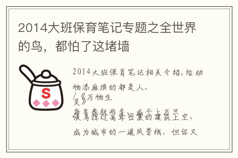 2014大班保育笔记专题之全世界的鸟，都怕了这堵墙