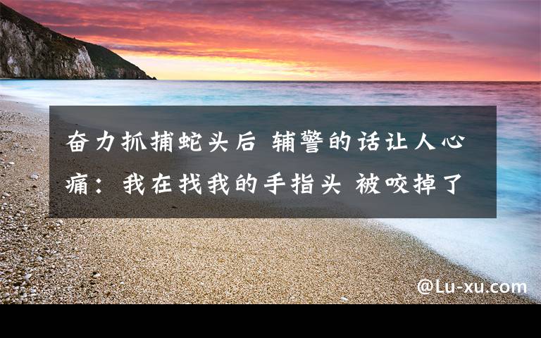 奋力抓捕蛇头后 辅警的话让人心痛：我在找我的手指头 被咬掉了