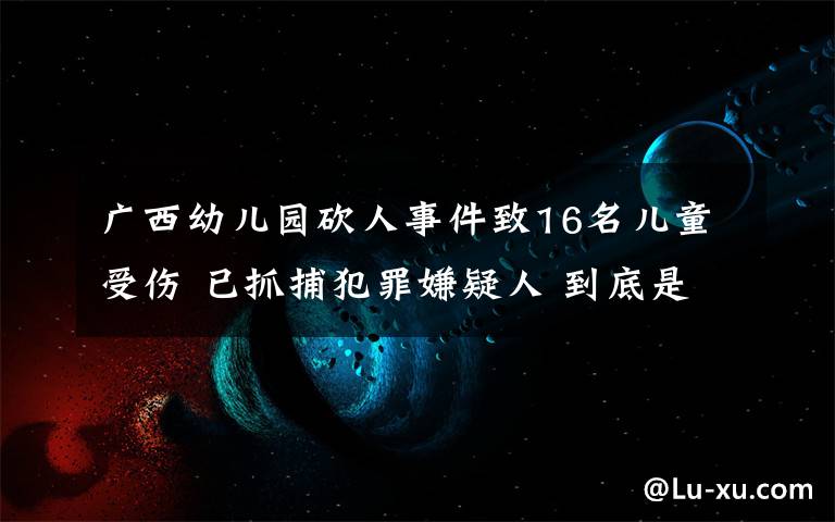广西幼儿园砍人事件致16名儿童受伤 已抓捕犯罪嫌疑人 到底是什么状况？