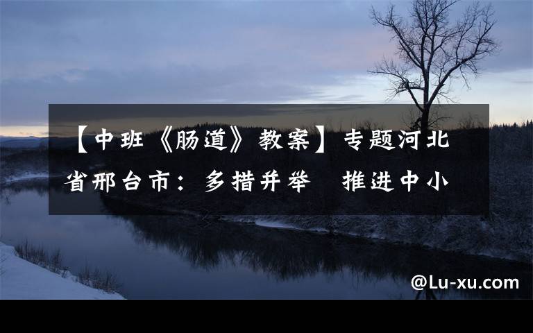 【中班《肠道》教案】专题河北省邢台市：多措并举 推进中小学健康促进行动