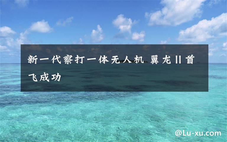 新一代察打一体无人机 翼龙Ⅱ首飞成功