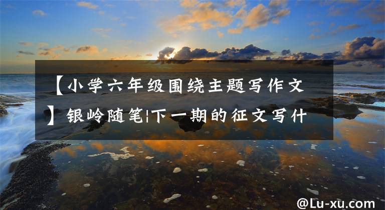 【小学六年级围绕主题写作文】银岭随笔|下一期的征文写什么主题？你说了算。