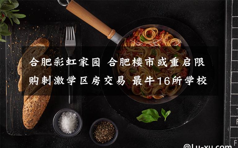 合肥彩虹家园 合肥楼市或重启限购刺激学区房交易 最牛16所学校学区房价格参考