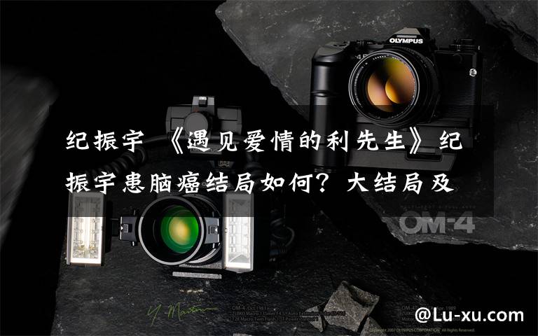 纪振宇 《遇见爱情的利先生》纪振宇患脑癌结局如何？大结局及分集剧情