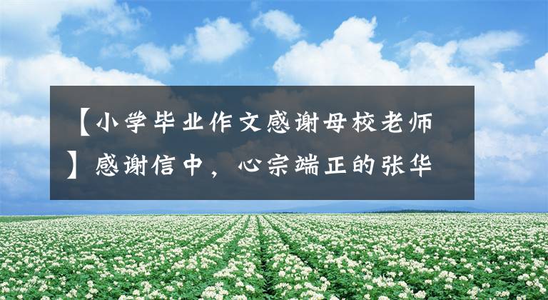 【小学毕业作文感谢母校老师】感谢信中，心宗端正的张华华写了感谢信|一名学生的家长给山城区第八小学写了感谢信。