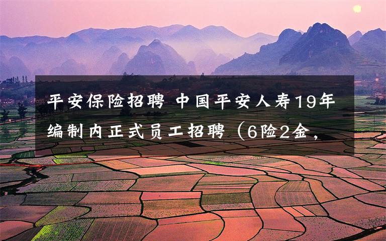 平安保险招聘 中国平安人寿19年编制内正式员工招聘（6险2金，13岗25人）