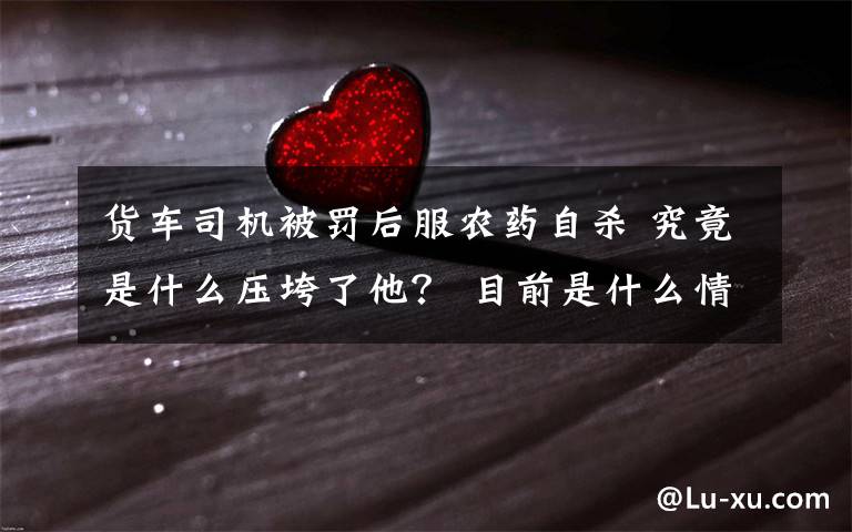 货车司机被罚后服农药自杀 究竟是什么压垮了他？ 目前是什么情况？