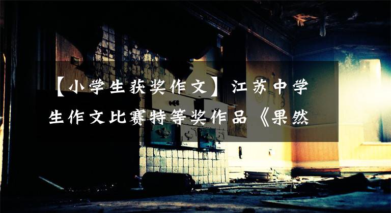 【小学生获奖作文】江苏中学生作文比赛特等奖作品《果然》，开合，万里挑一。