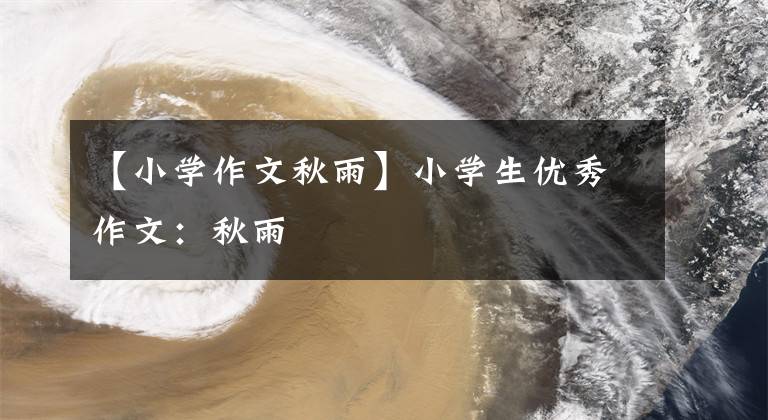【小学作文秋雨】小学生优秀作文：秋雨