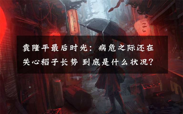 袁隆平最后时光：病危之际还在关心稻子长势 到底是什么状况？