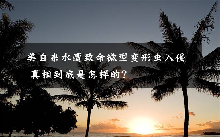 美自来水遭致命微型变形虫入侵 真相到底是怎样的？