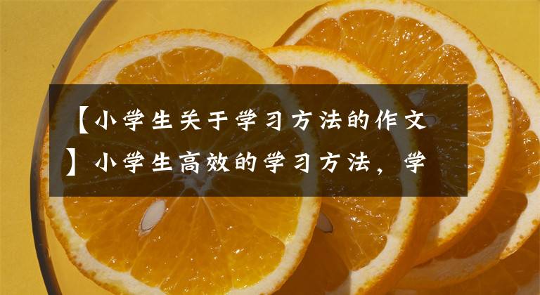 【小学生关于学习方法的作文】小学生高效的学习方法，学习经历的必要基础