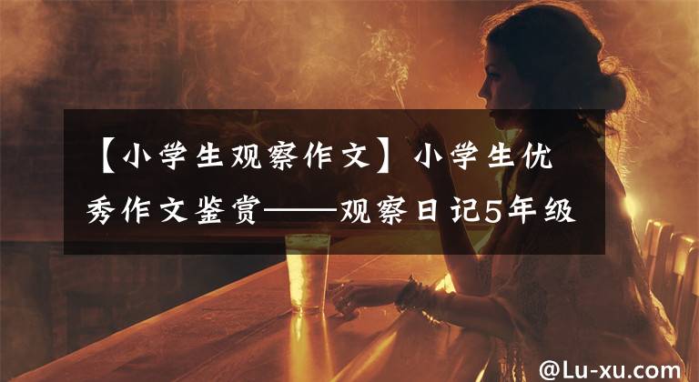 【小学生观察作文】小学生优秀作文鉴赏——观察日记5年级，观察日记写作植物