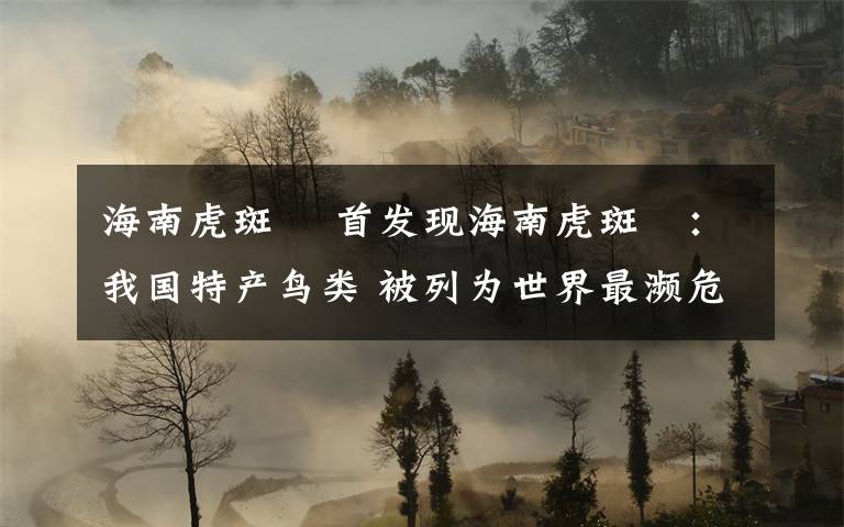 海南虎斑鳽 首发现海南虎斑鳽：我国特产鸟类 被列为世界最濒危鸟类之一