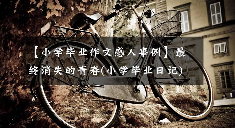【小学毕业作文感人事例】最终消失的青春(小学毕业日记)