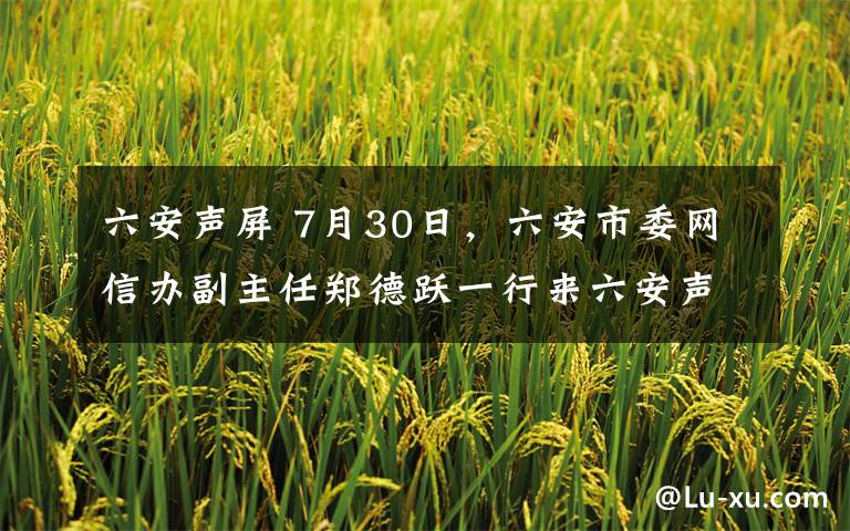 六安声屏 7月30日，六安市委网信办副主任郑德跃一行来六安声屏网进行网络安全和信息化检查工作