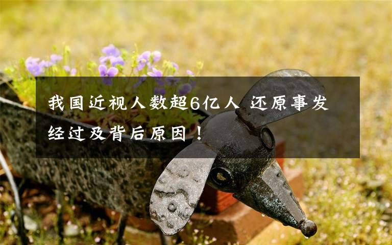 我国近视人数超6亿人 还原事发经过及背后原因！