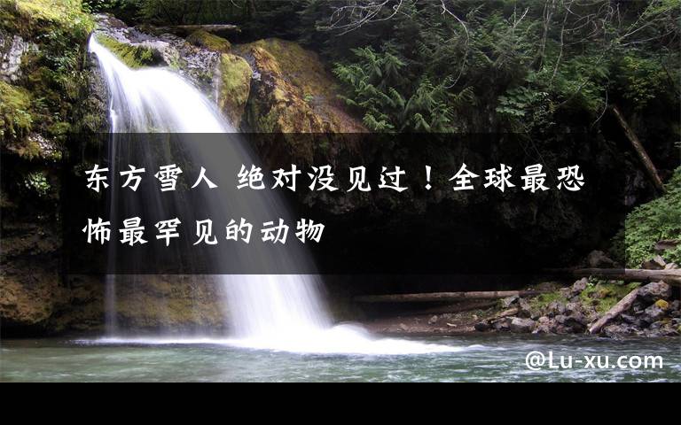 东方雪人 绝对没见过！全球最恐怖最罕见的动物