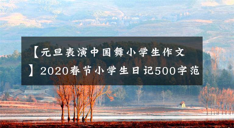 【元旦表演中国舞小学生作文】2020春节小学生日记500字范文5篇