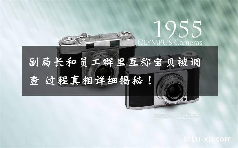 副局长和员工群里互称宝贝被调查 过程真相详细揭秘！