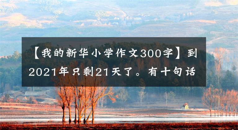 【我的新华小学作文300字】到2021年只剩21天了。有十句话。一起听听。
