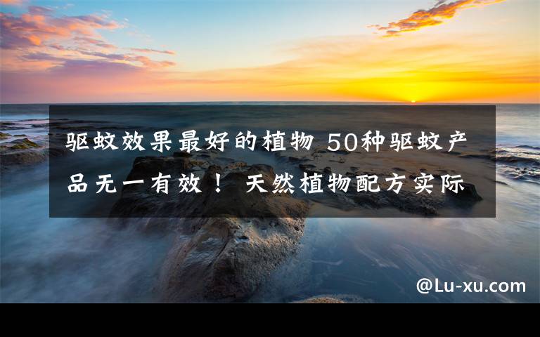 驱蚊效果最好的植物 50种驱蚊产品无一有效！ 天然植物配方实际含量非常低
