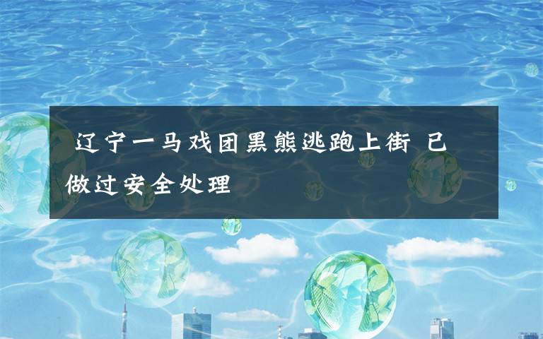  辽宁一马戏团黑熊逃跑上街 已做过安全处理