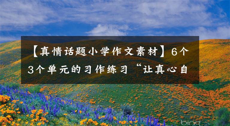 【真情话题小学作文素材】6个3个单元的习作练习“让真心自然流露”的评论事例。