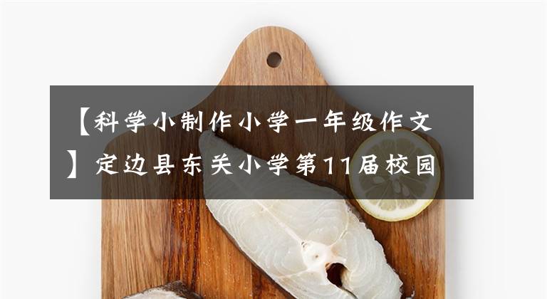 【科学小制作小学一年级作文】定边县东关小学第11届校园科技节系列活动简讯