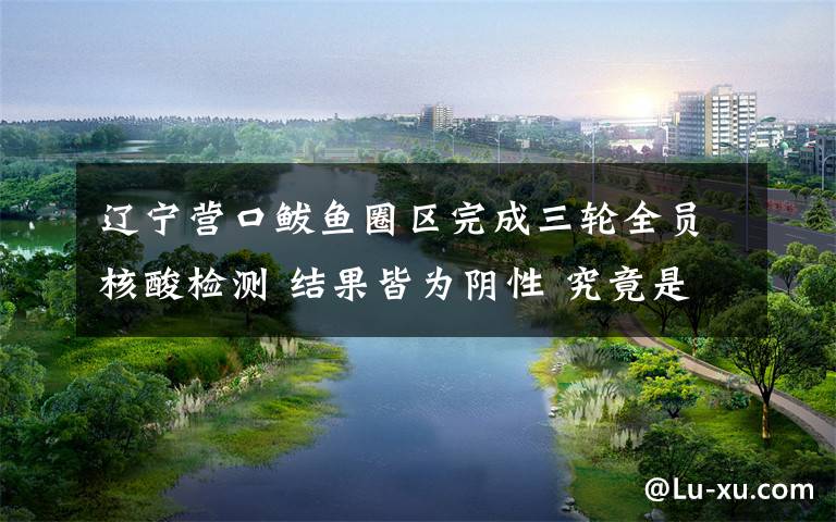 辽宁营口鲅鱼圈区完成三轮全员核酸检测 结果皆为阴性 究竟是怎么一回事?
