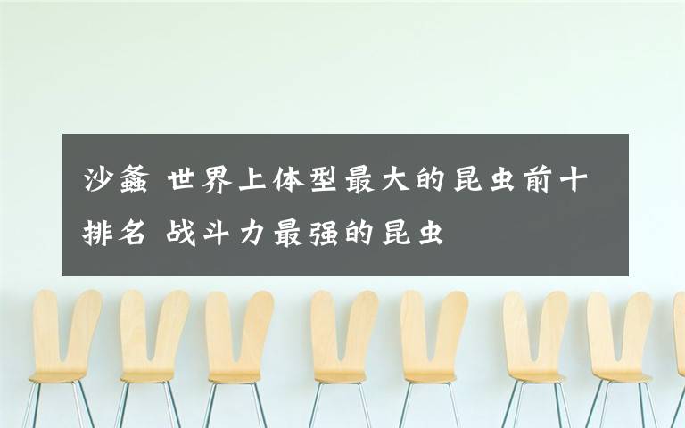 沙螽 世界上体型最大的昆虫前十排名 战斗力最强的昆虫