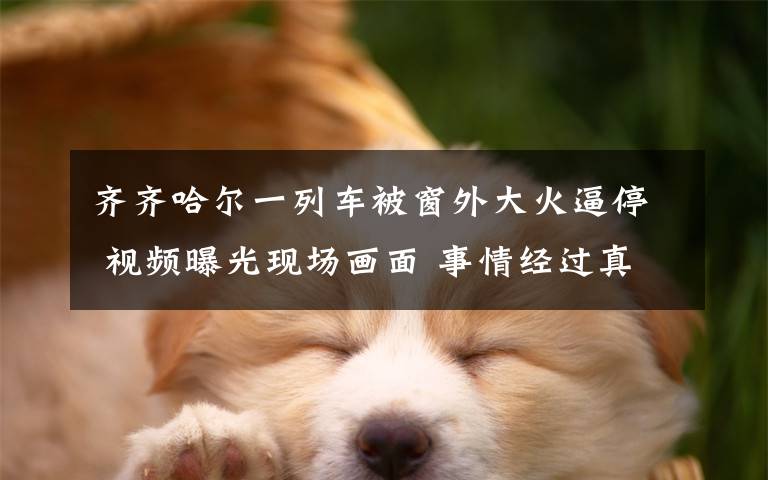 齐齐哈尔一列车被窗外大火逼停 视频曝光现场画面 事情经过真相揭秘！