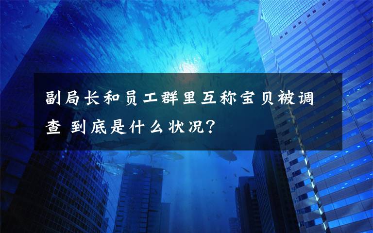 副局长和员工群里互称宝贝被调查 到底是什么状况？